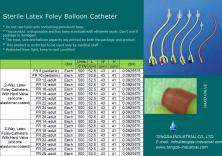 Foley Catheter